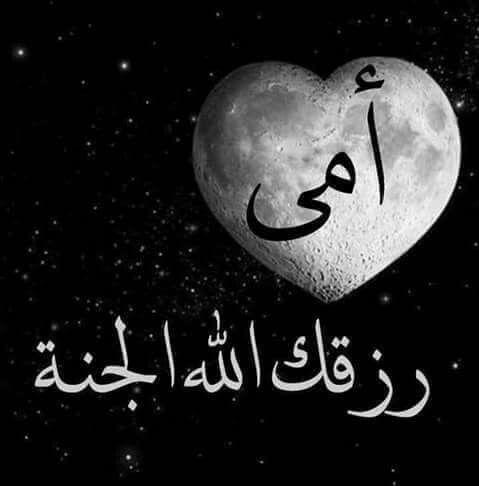 2aea929c6b3a83bc5caef472a8cad1f51 عبارات عن الأم | أجمل كلمات الحب والوفاء للام