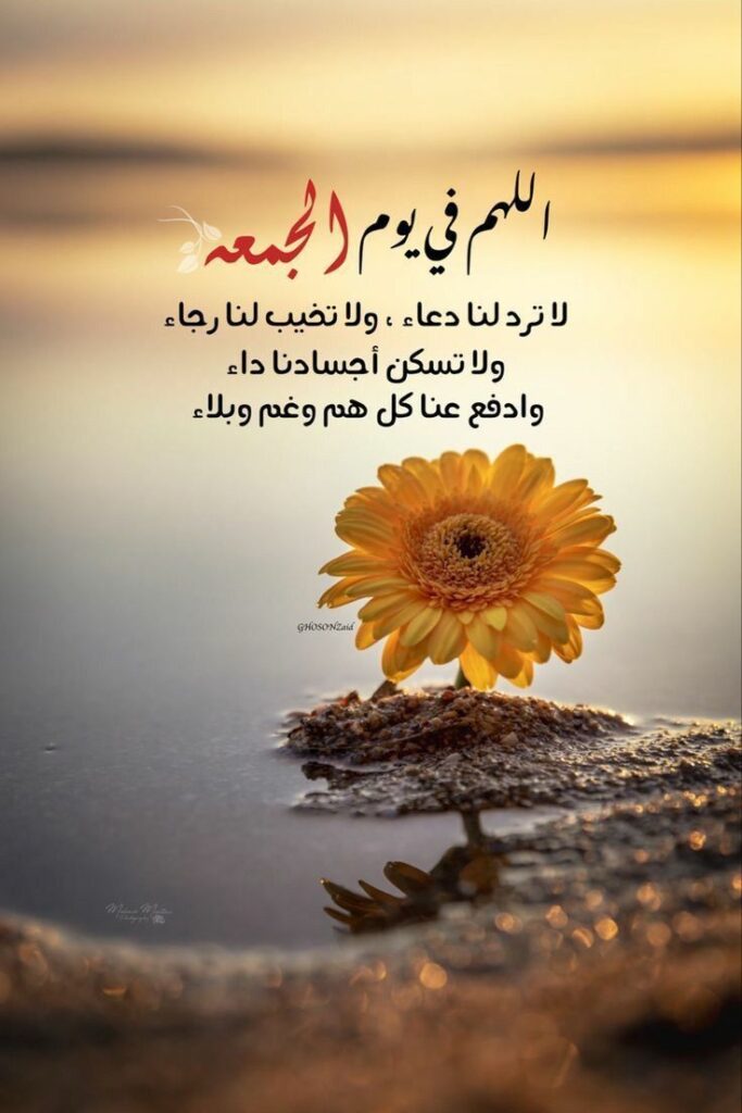 اللهم في يوم الجمعه لا ترد لنا دعاء