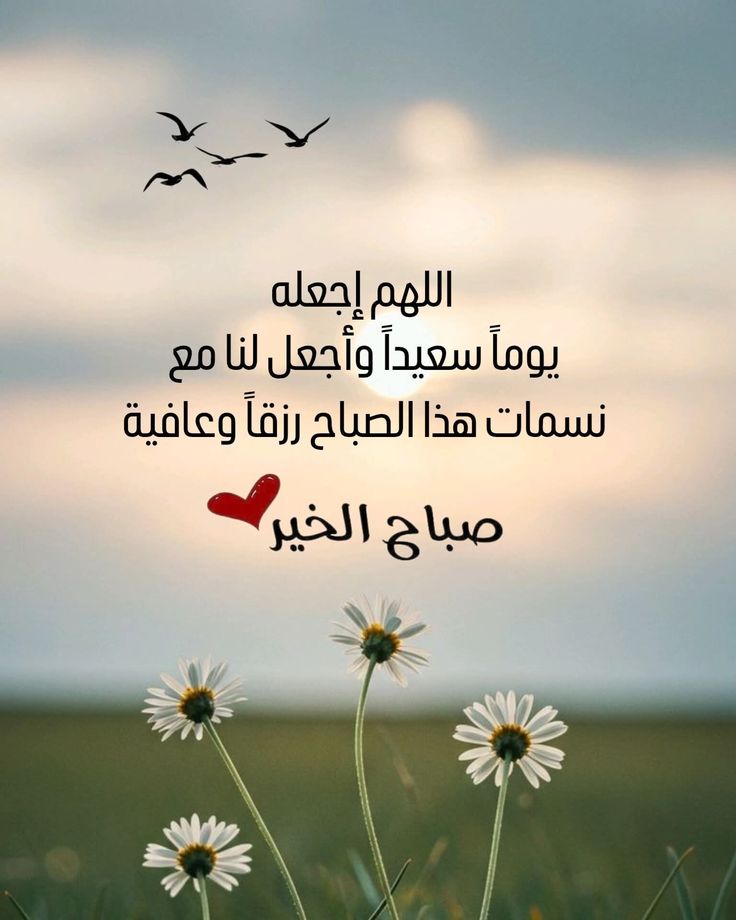 01347b35f52be3481f4ba63e071cbdc51 صور أدعية صباحية 2026 – دعاء الصباح بالصور بتصاميم هادئة تبعث الطمأنينة