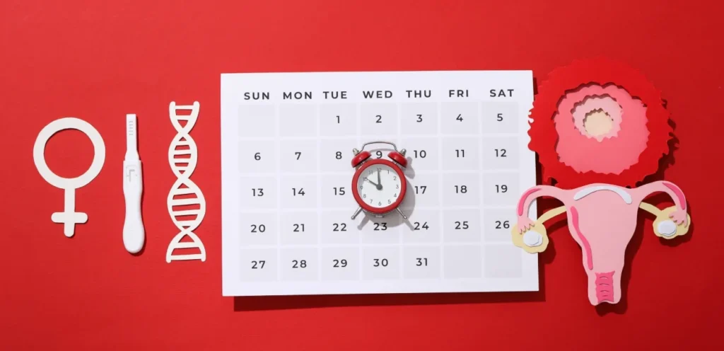 1 86 هل ممكن الحمل قبل الدورة مباشرة؟ حقيقة طبية مهمة يجب معرفتها