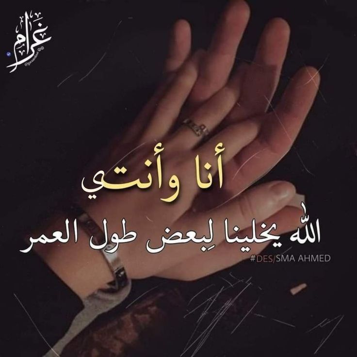 7d13f40f007f70b074a909df9c75ccb51 أجمل صور حب 2026 | صور رومانسية جديدة بجودة عالية